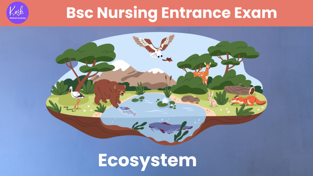 B.Sc. Nursing Entrance Exam: Most Important MCQs on Ecosystem (Free Download Available)