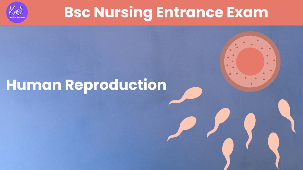 B.Sc. Nursing Entrance Exam: Most Important MCQs on Human Reproduction (Free Download Available)